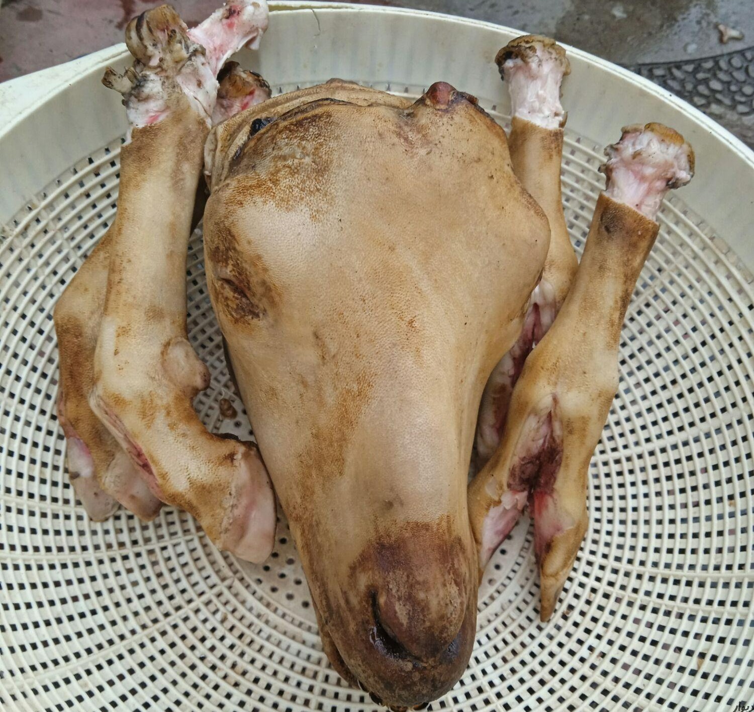 پاك كردن كله پاچه با تیغ