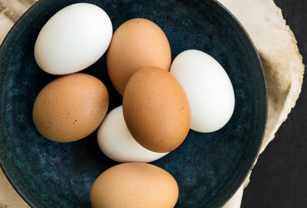 نشانه های فاسد شدن تخم مرغ - روش تشخیص تخم مرغ سالم